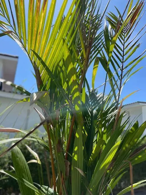 Manao Villa 4 Ko Lanta